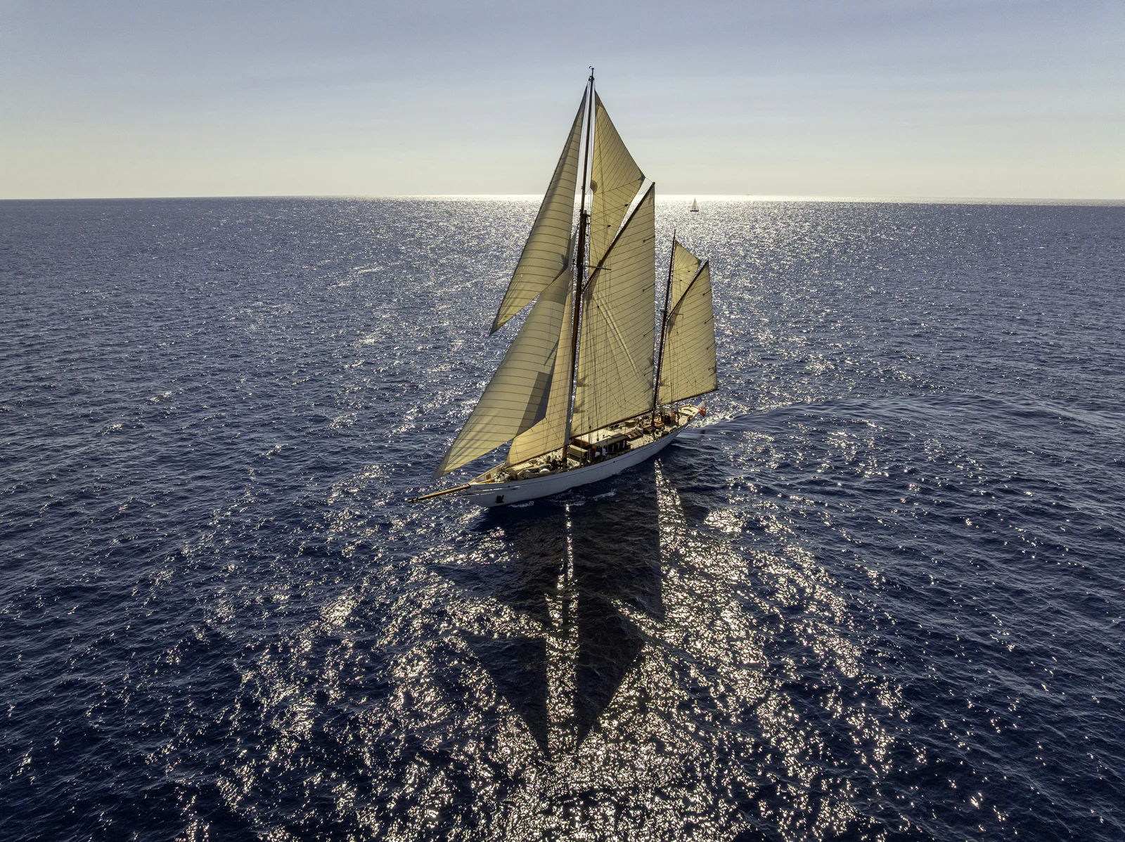 Black Swan under sail